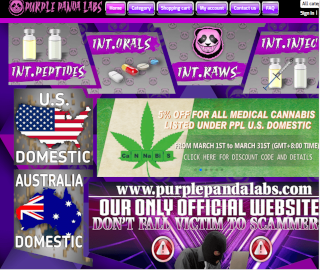 Screenshot of PurplePandaLabs website