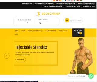 Screenshot of RoidsChamp website